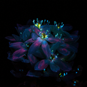 黄色片观看视频
